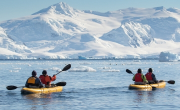 Passengers enjoying the paddling excursion experience in the Antarctic