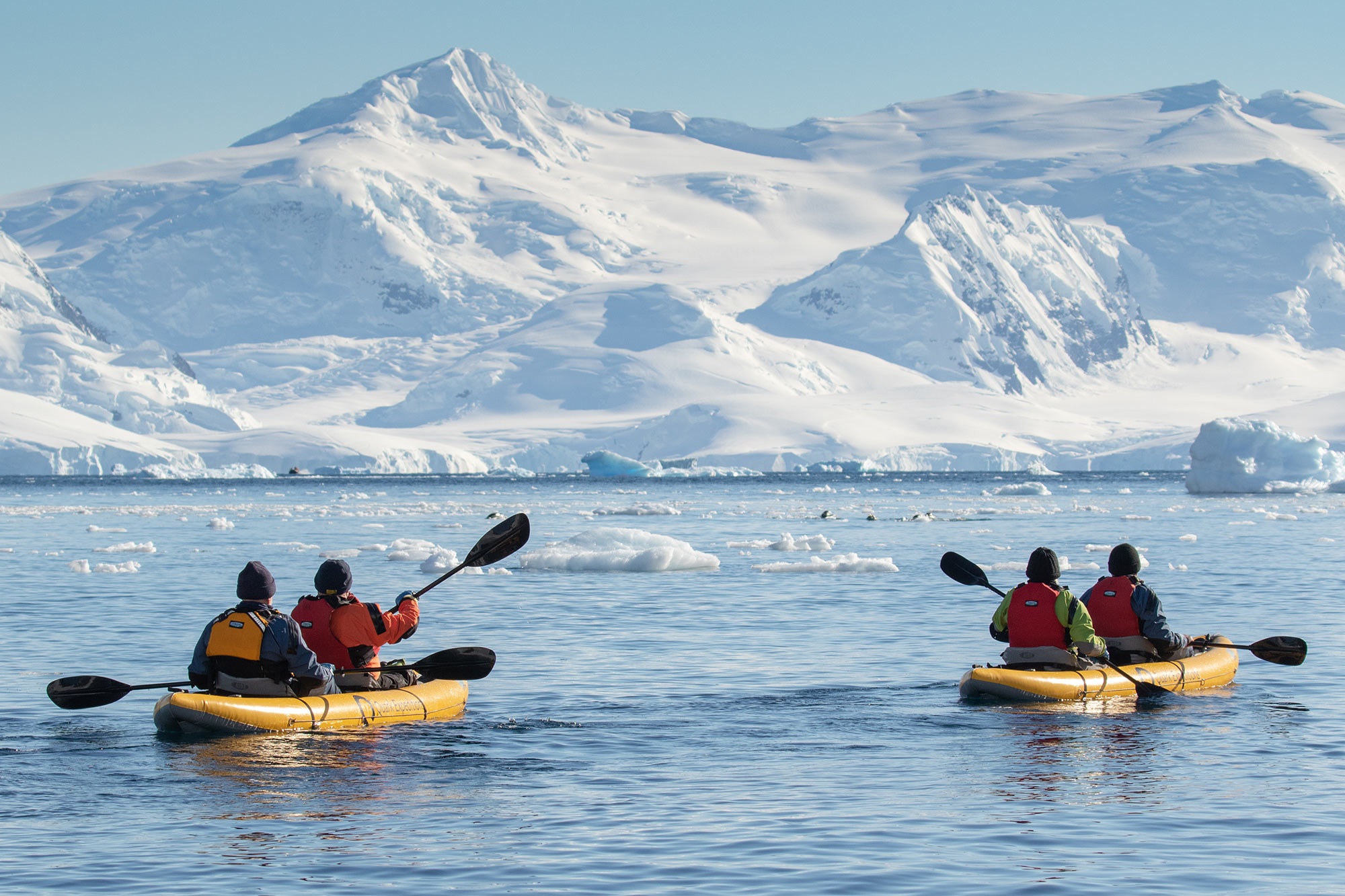 Passengers enjoying the paddling excursion experience in the Antarctic