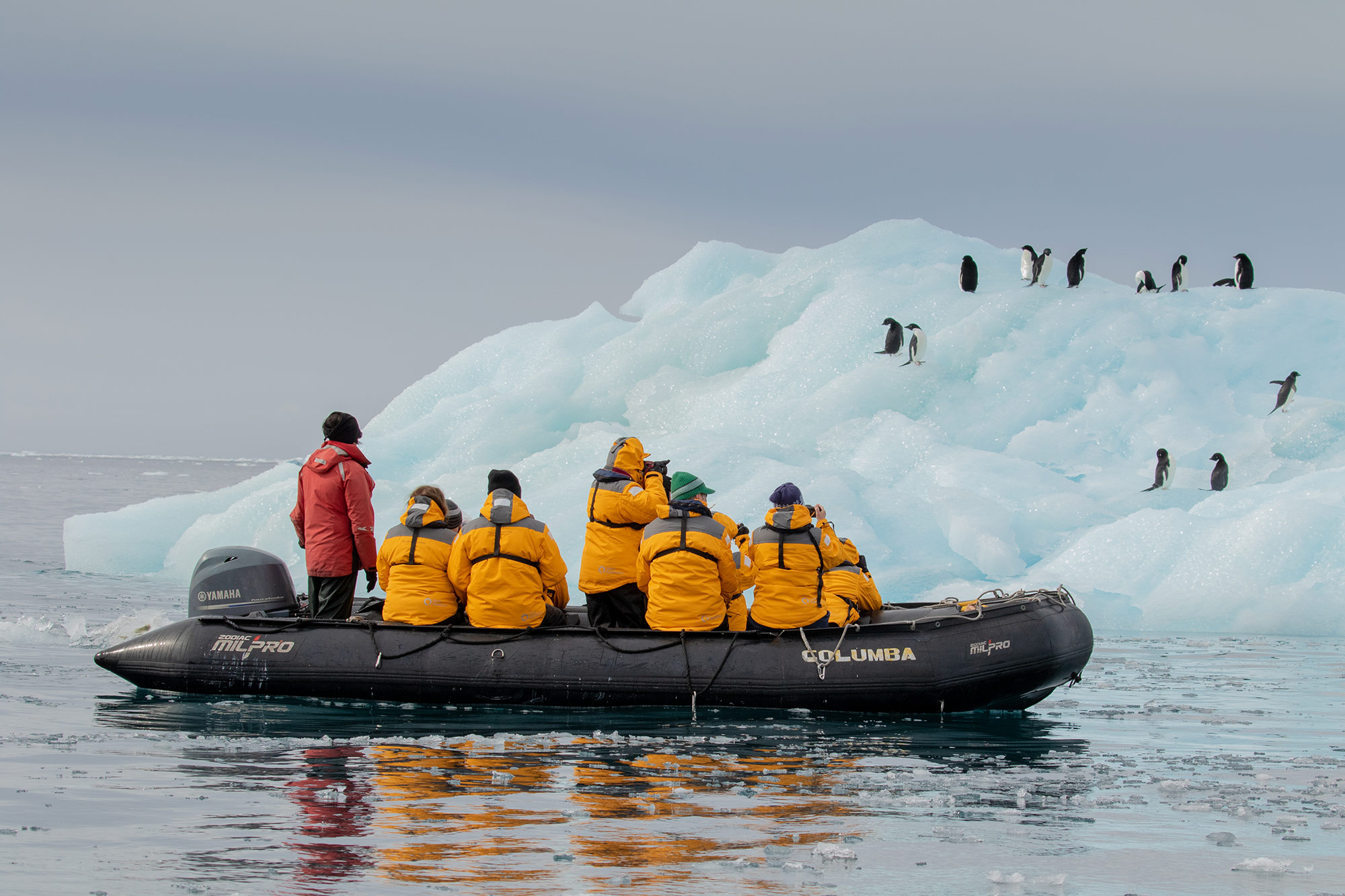 Zodiac cruising near penguins