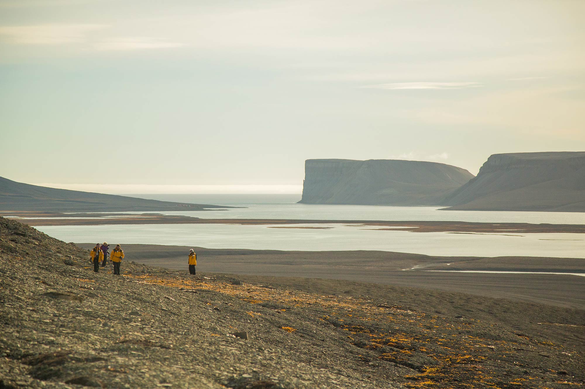 Passengers exploring Radstock Bay