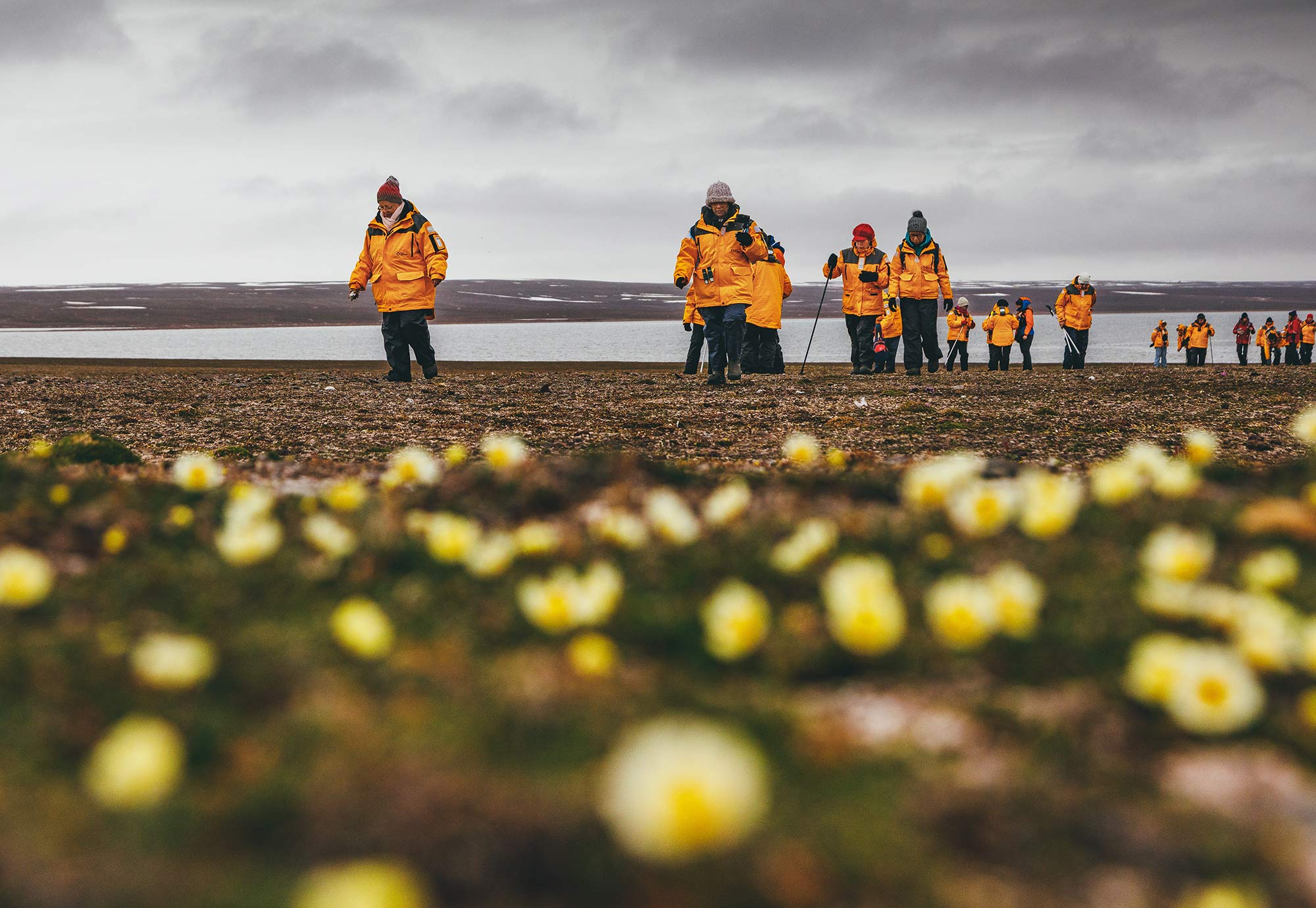 Passengers hiking in the Arctic