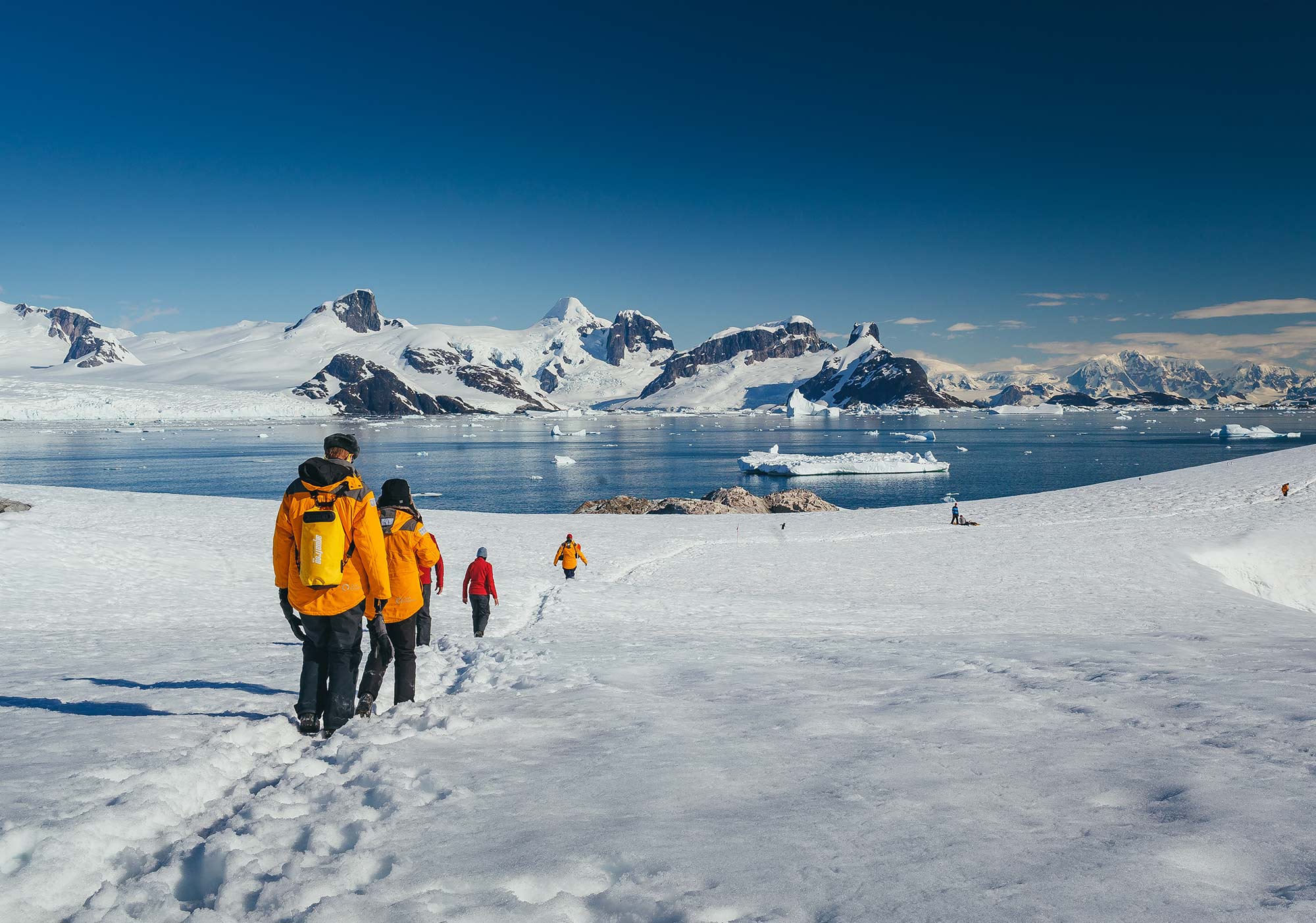 Passengers hiking in Antarctic Landscape