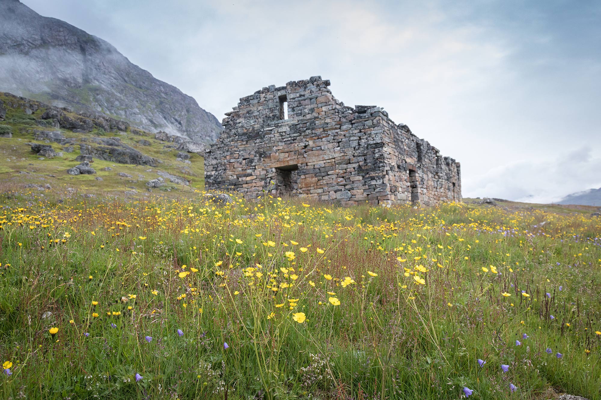 South Greenland Landscape