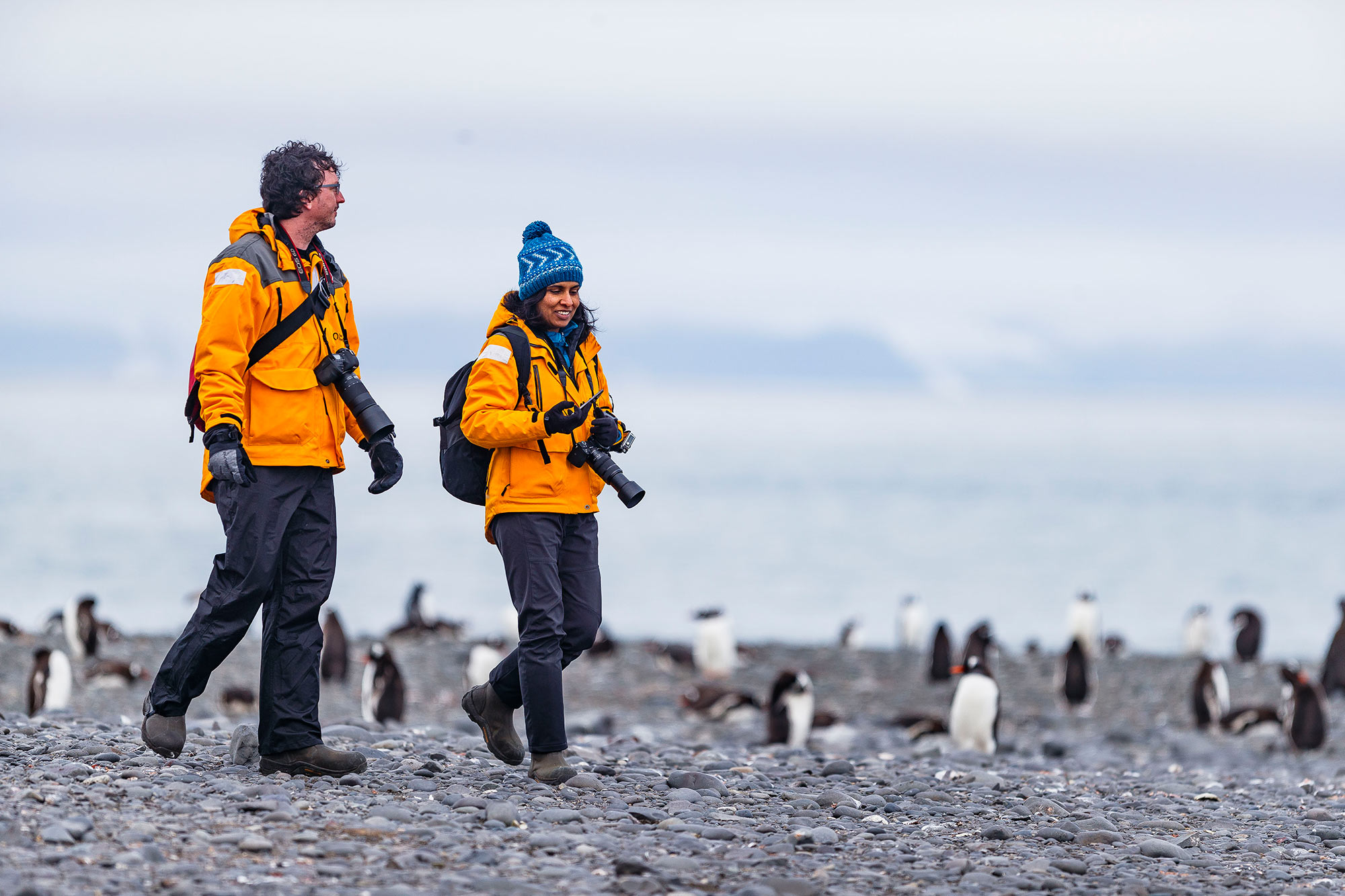 Two passengers hiking amongst penguins